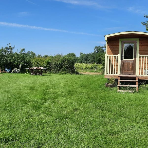 Domaine Du Bois Rond - Mélanie Dedron Et Igor Denat