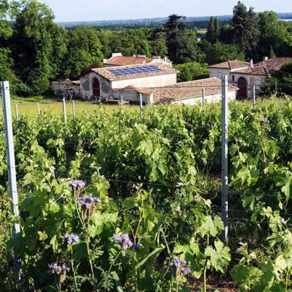 Château l'Escarderie - Mélanie et Thomas Schmid-Haguenin