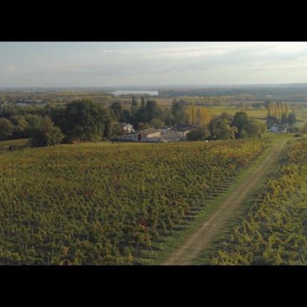 Château l'Escarderie - Mélanie et Thomas Schmid-Haguenin
