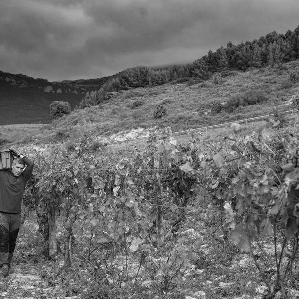 Melanie Hickman & David Sampedro