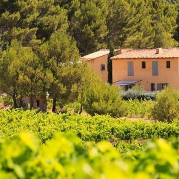 Villa Minna Vineyard - Meryl & Arno Straupe-Luc