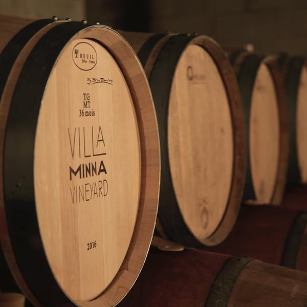 Villa Minna Vineyard - Meryl & Arno Straupe-Luc