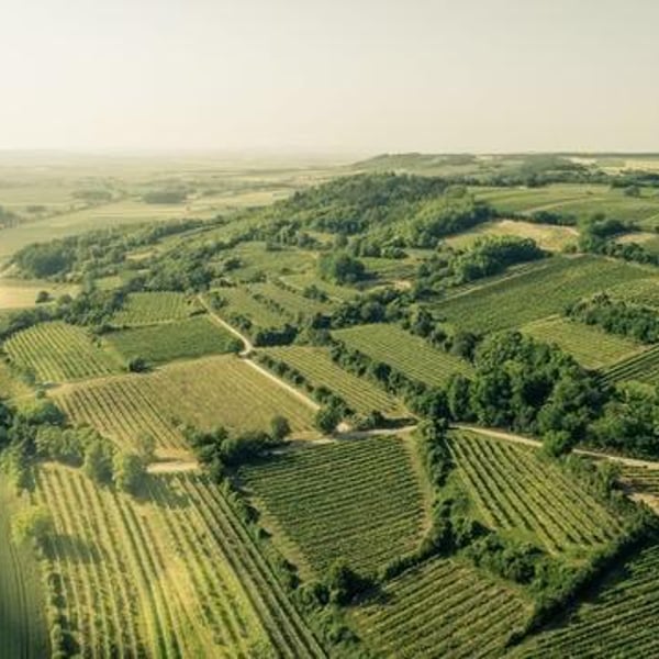 Weinhof Uibel - Michaela & Leo Uibel