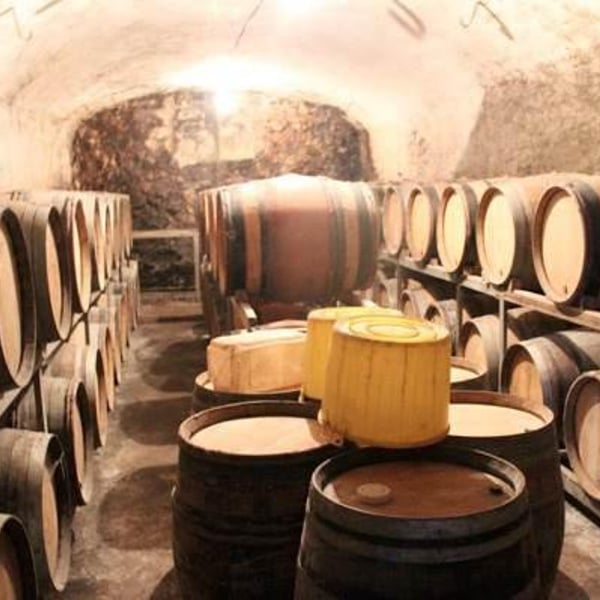 Domaine des Ronces - Michel & Kevin Mazier