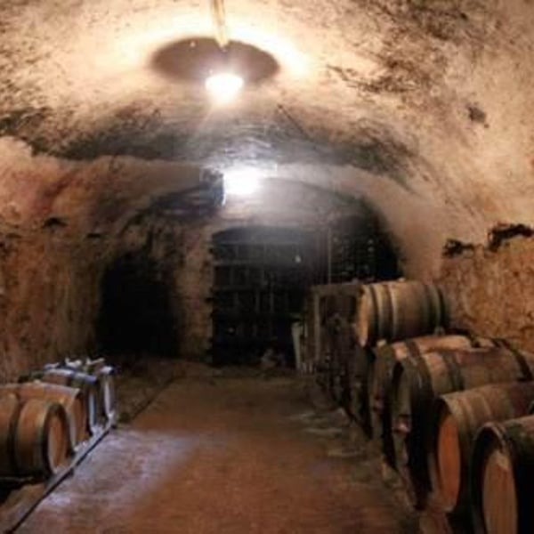 Domaine des Ronces - Michel & Kevin Mazier