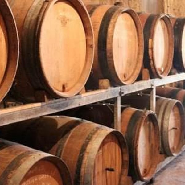 Domaine des Ronces - Michel & Kevin Mazier