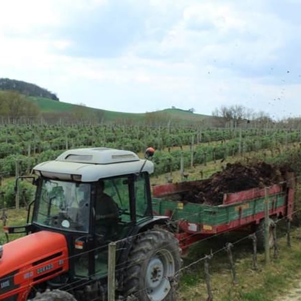 Domaine Entras - Michel Maestrojuan