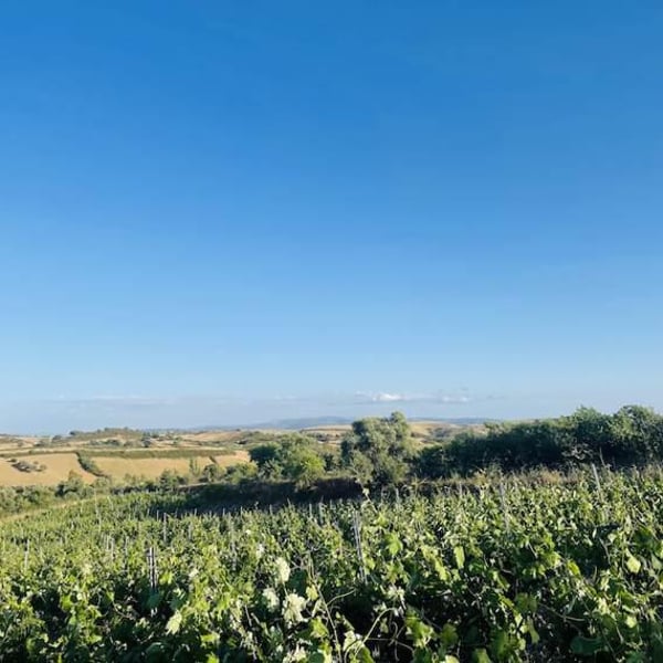 Azienda Agricola Schirru - Michele & Marco Schirru