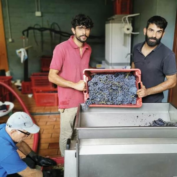 Azienda Agricola Schirru - Michele & Marco Schirru