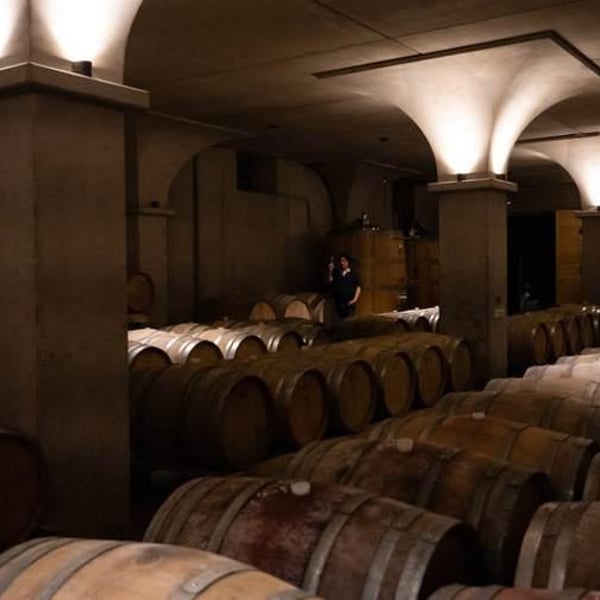 Batič Winery - Miha Batič