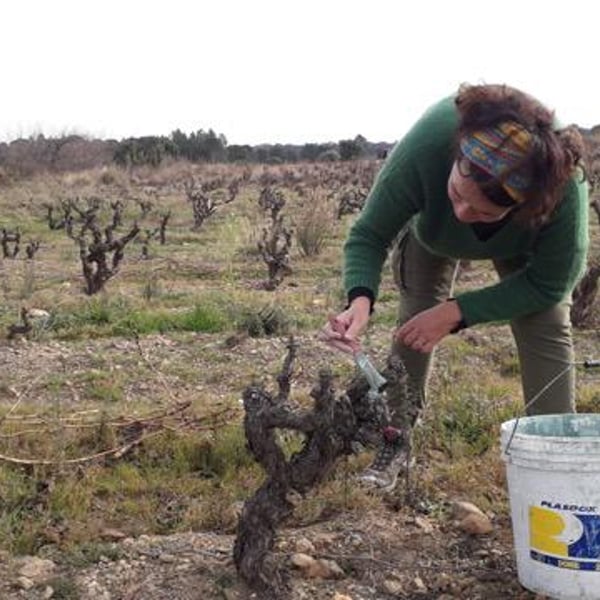 Domaine du Lendemain - Mireille Ribière