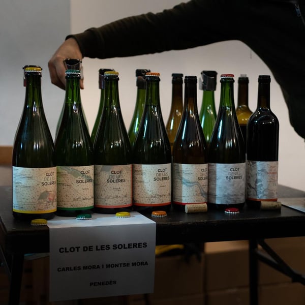 Clot de les Soleres - Montse i Carles Mora Ferrer