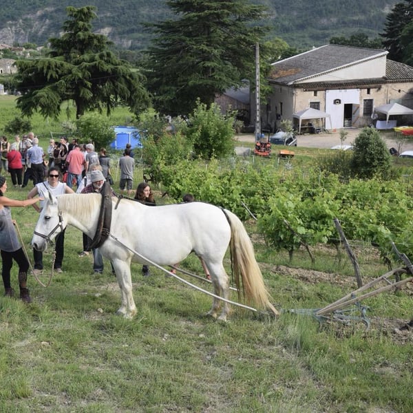 Domaine de Blacher - Myriam Oddon