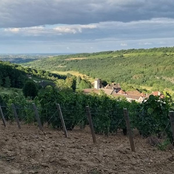 Domaine Didon - Naima & David Didon