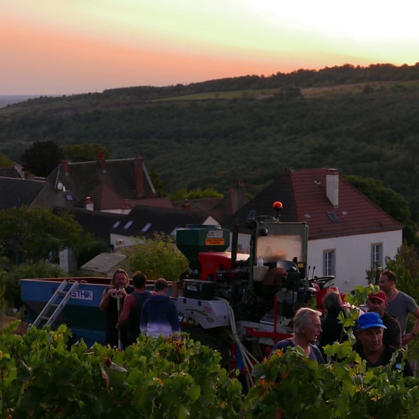 Domaine Didon - Naima & David Didon