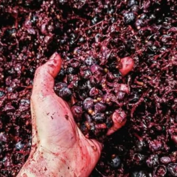 Natan Winery - Namika Inoshita