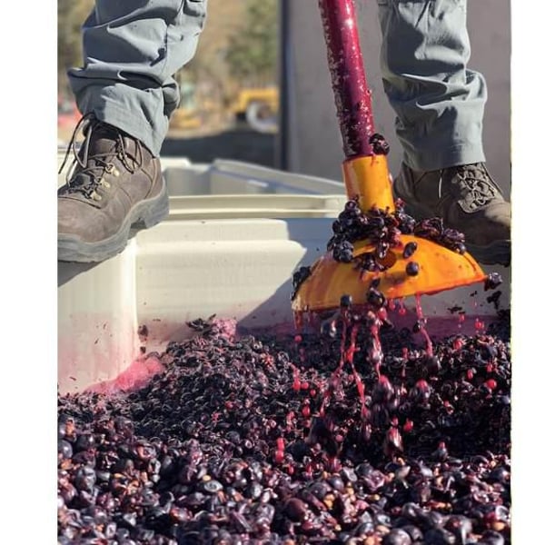 Troon Vineyard - Nate Wall