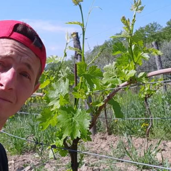 Podere Erica - Neal & Jan Dempsey, Marco Giordano, Pierpaolo Chelo