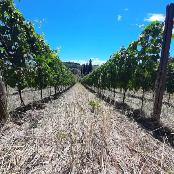 Podere Erica - Neal & Jan Dempsey, Marco Giordano, Pierpaolo Chelo