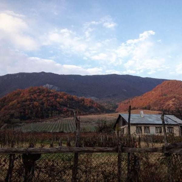 Kereselidze Wine Cellar - Nestan Dvali & Apollon Kereselidze