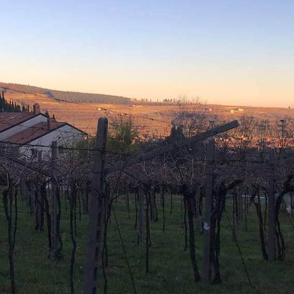 Antica Valpolicella - Niccolò Dama