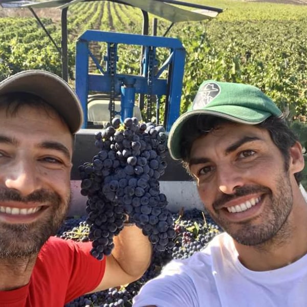 Nicola Adamo & Guido Grillo