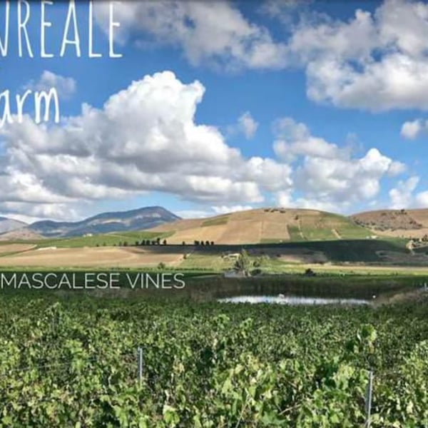 Elios - Nicola Adamo & Guido Grillo