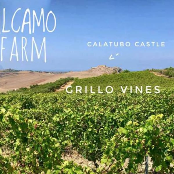 Elios - Nicola Adamo & Guido Grillo