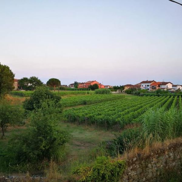 La Bettigna - Nicola Lazzoni ed Emilio Falcinelli