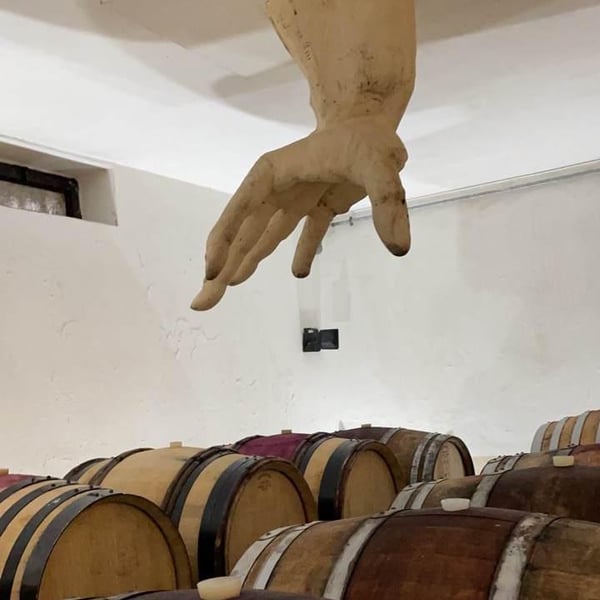 Tenuta Vincenzo Nardone - Nicola Nardone