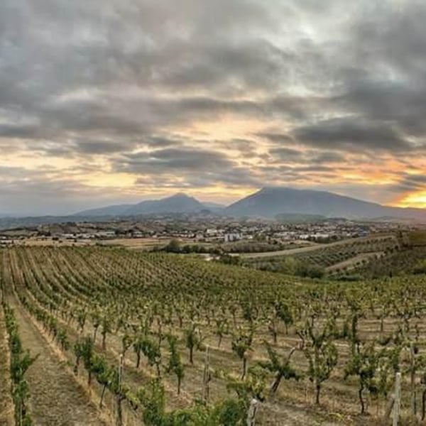 Cantina Indigeno (TEMPORARILY CLOSED) - Alfredo Giugno, Loreto Lamolinara, Nicola Reginaldi