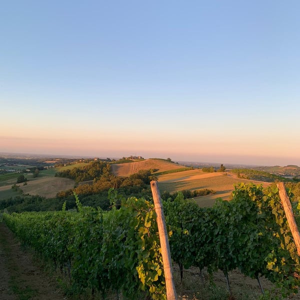 Cantina Visconti - Nicola Visconti & Valentina Fontanive