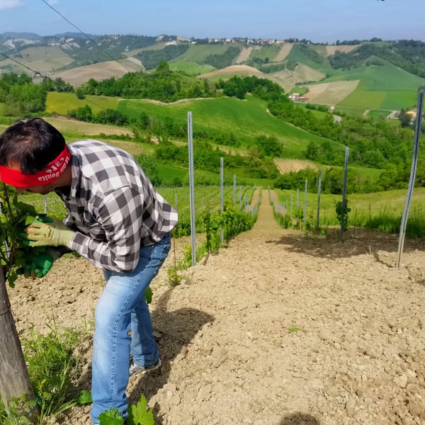 Cantina Visconti - Nicola Visconti & Valentina Fontanive