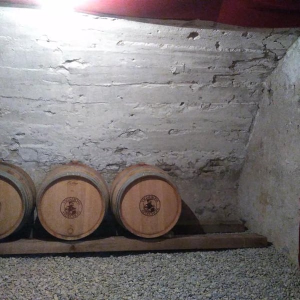 L'Homme à Tête De Vin - Nicolas Caillaux