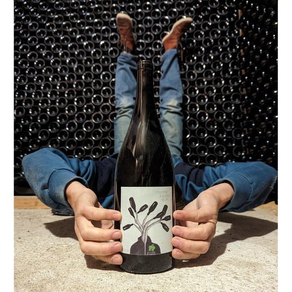 L'Homme à Tête De Vin - Nicolas Caillaux