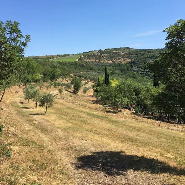 Terre dei Borghi - Nicolò Borgato, Barbara Nardacchione