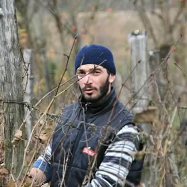 Targameuli Wine Cellar - Nika Partsvnia