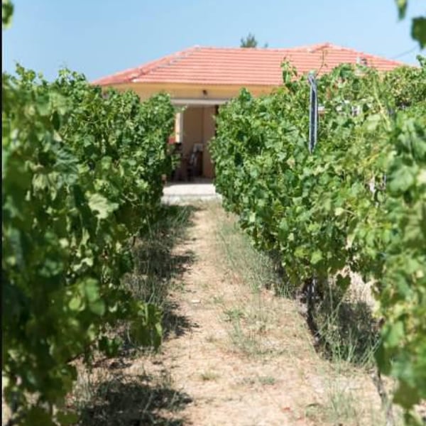 Domaine Afianés - Nikos Afianes & Maria Karoutsou