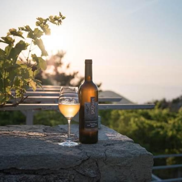 Domaine Afianés - Nikos Afianes & Maria Karoutsou