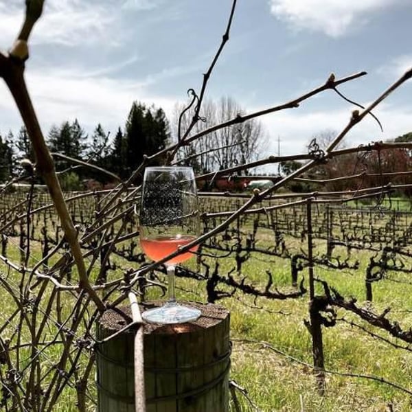 Purity Wine - Noel Diaz