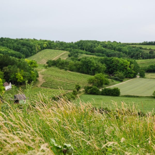Weingut Rudolf Fidesser - Rudolf Fidesser
