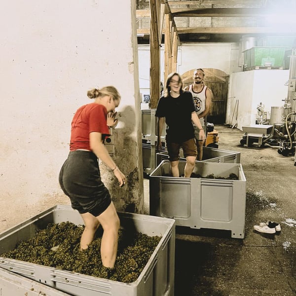 Weingut Rudolf Fidesser - Rudolf Fidesser