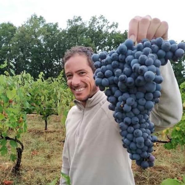 Olivier Contion