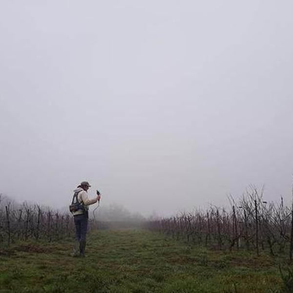 Clos des Plantes - Olivier Lejeune