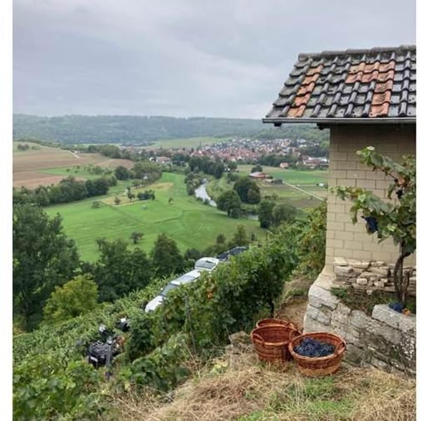 Weingut Roterfaden - Olympia Samara & Hannes Hofmann