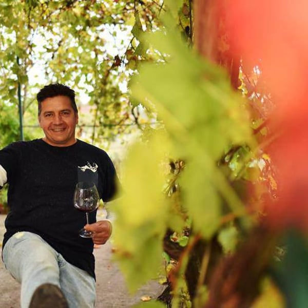 Maurer Winery - Oszkár Maurer
