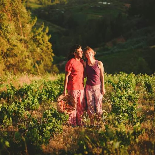 Vinos Mingaco - Chekura - Pablo Pedreros & Daniela De Pablo Mendoza