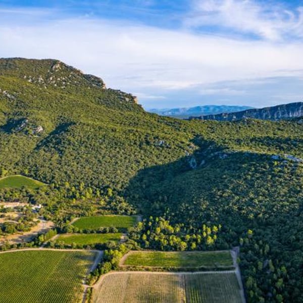 Domaine de Mortiès - Pascale & Richard Moutiés