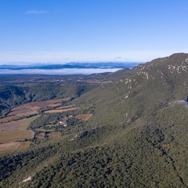 Domaine de Mortiès - Pascale & Richard Moutiés
