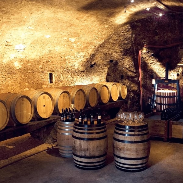 Cantine Riva Morcote - Patrick Ballabio